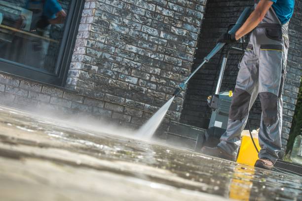 Animal Enclosure Cleaning in Indianola, IA